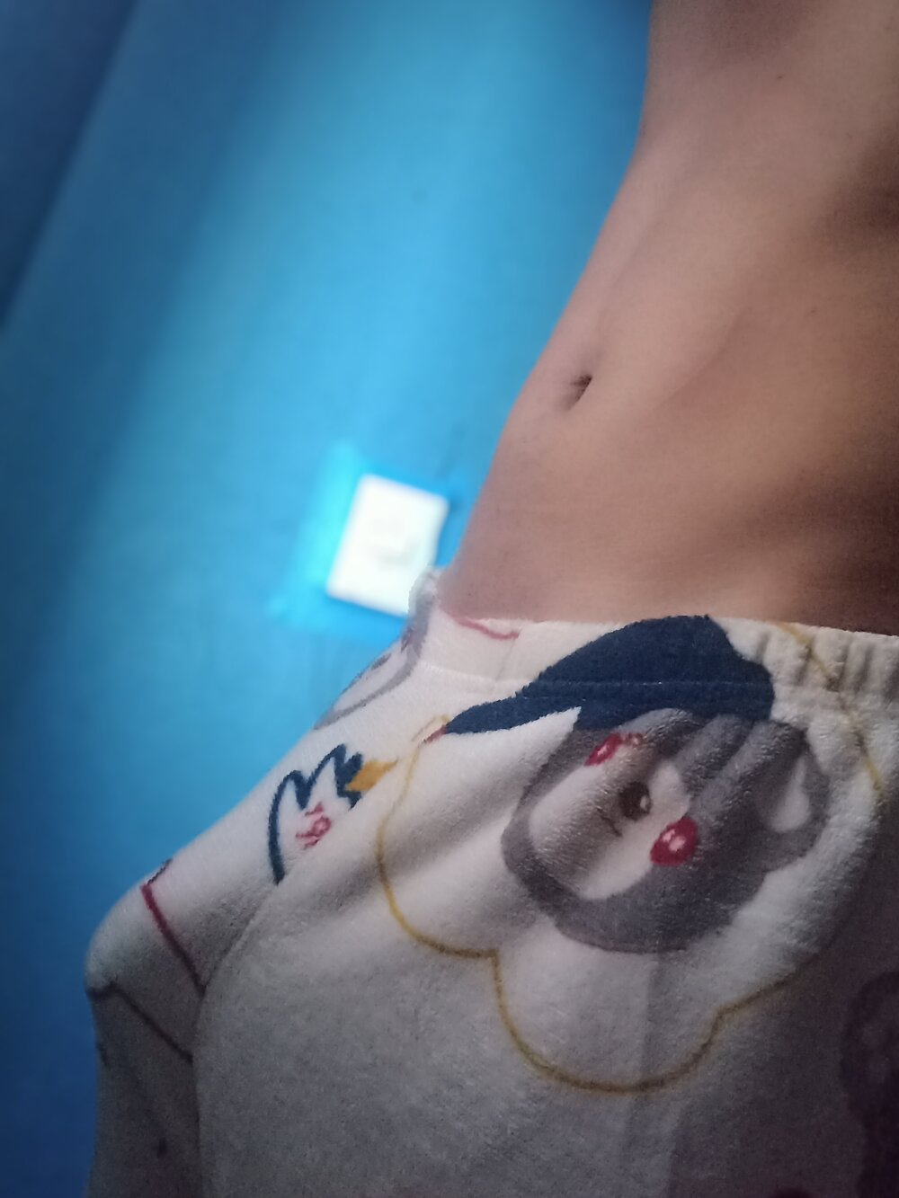 Stiben31e profile