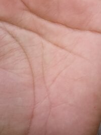 telugubiggdickk's webcam live show