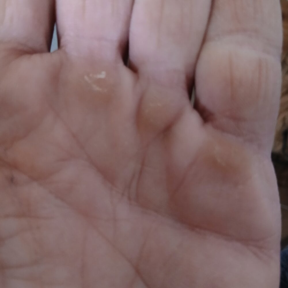 Nadiabo's most recent online preview