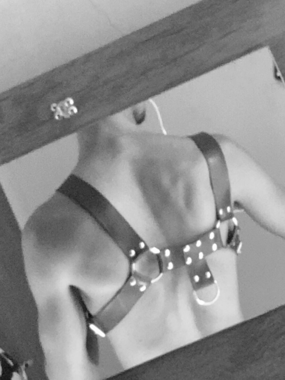 GuiOficialBr02's most recent online preview