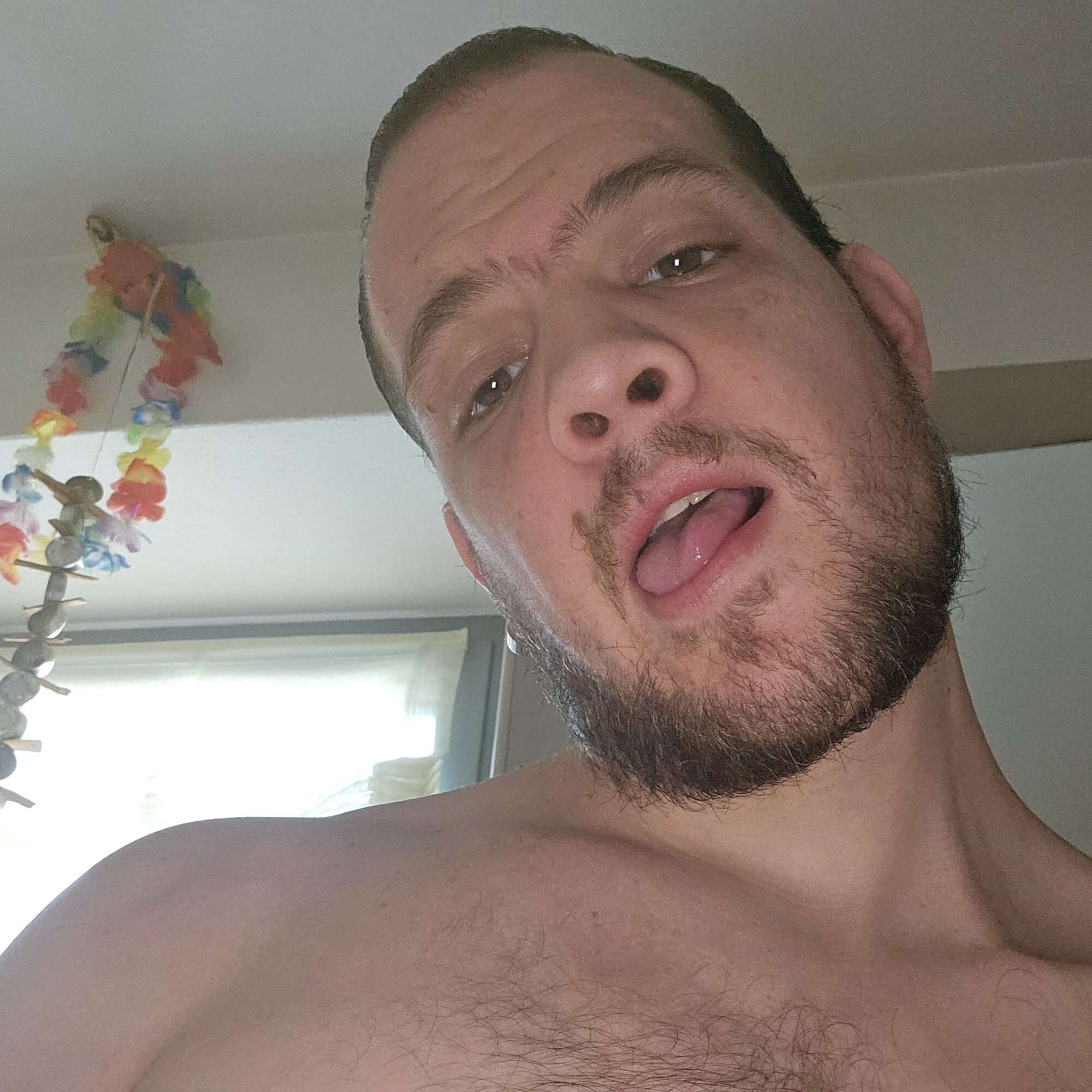 maiale94pog