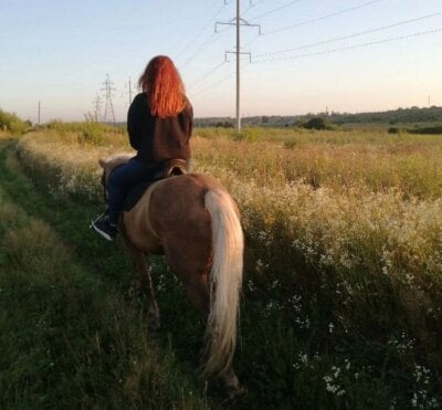 Summer__sun