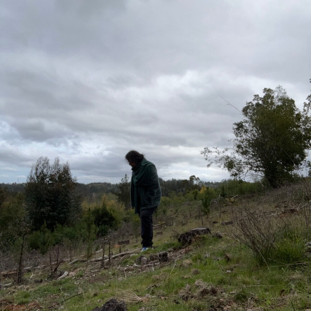AleGGS_ profile