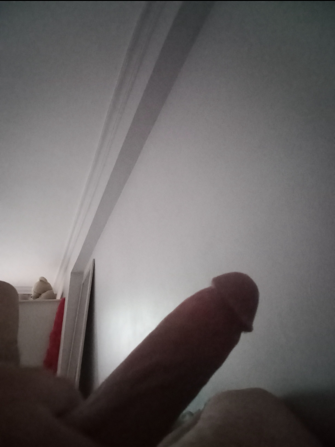 SecretFaceCock