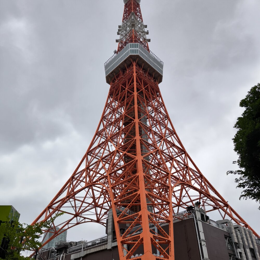 astexlove from stripchat