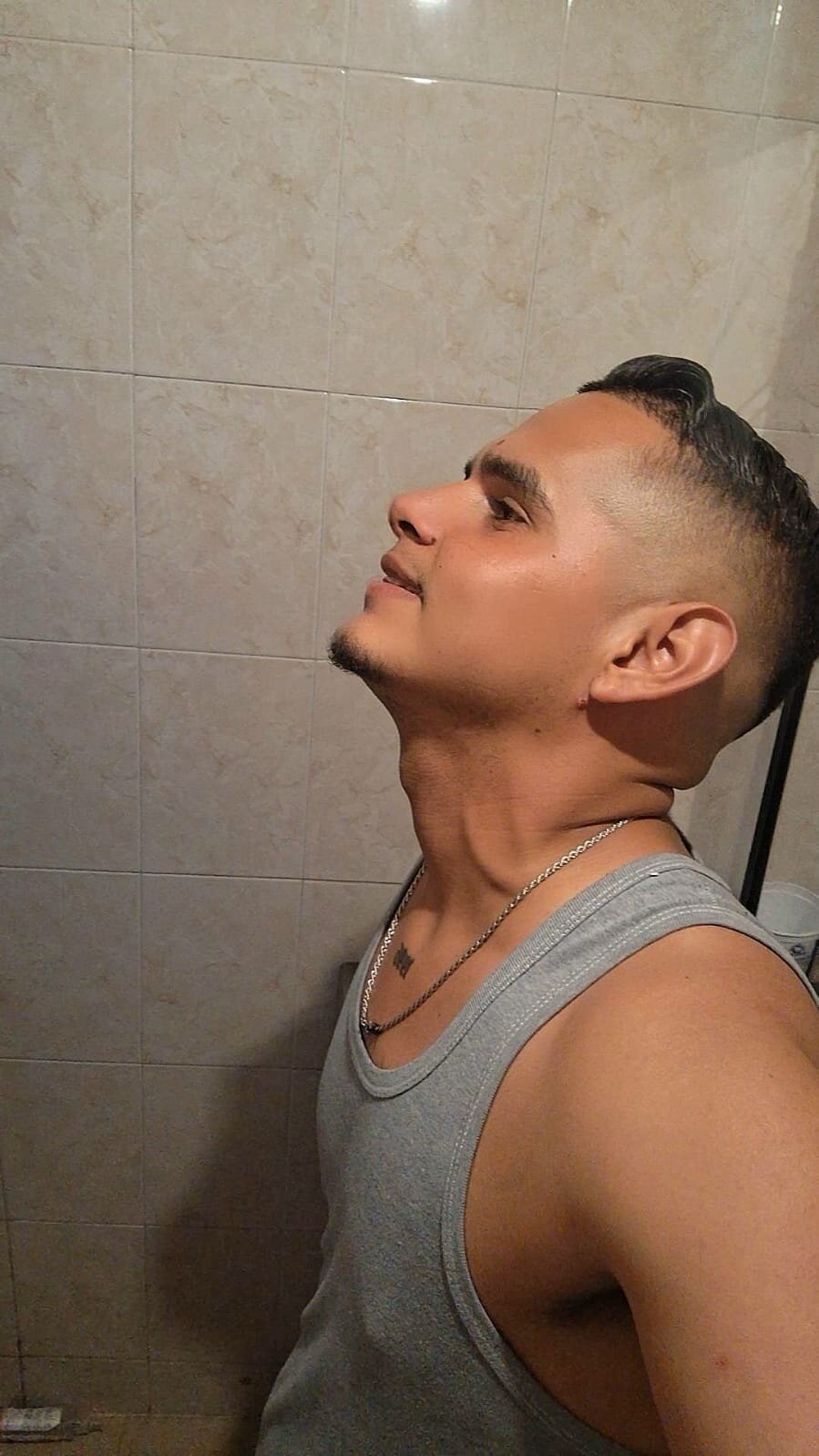 Elvenezolano2020