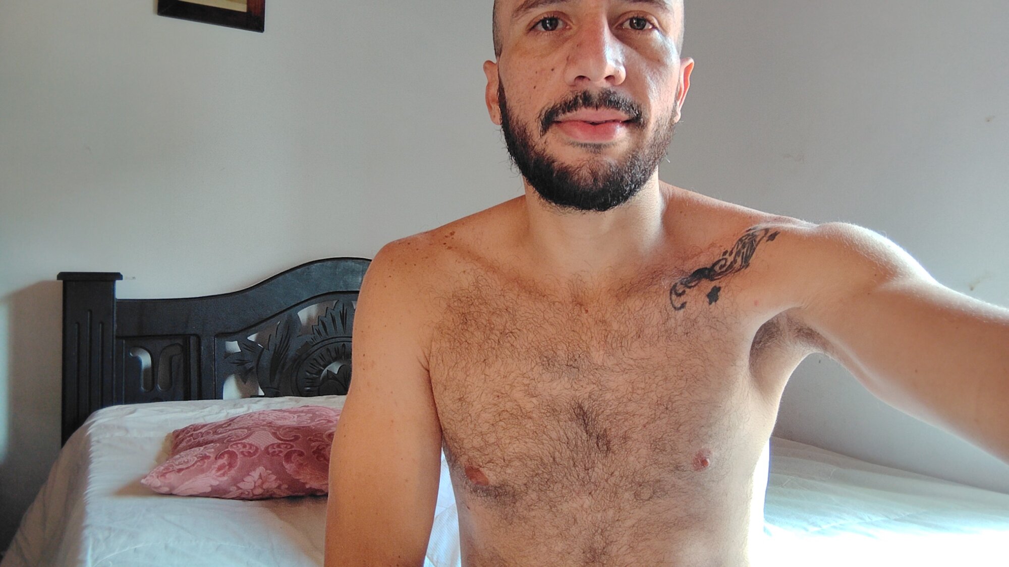 Troy_play777