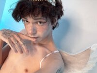 Модель ColeStorm