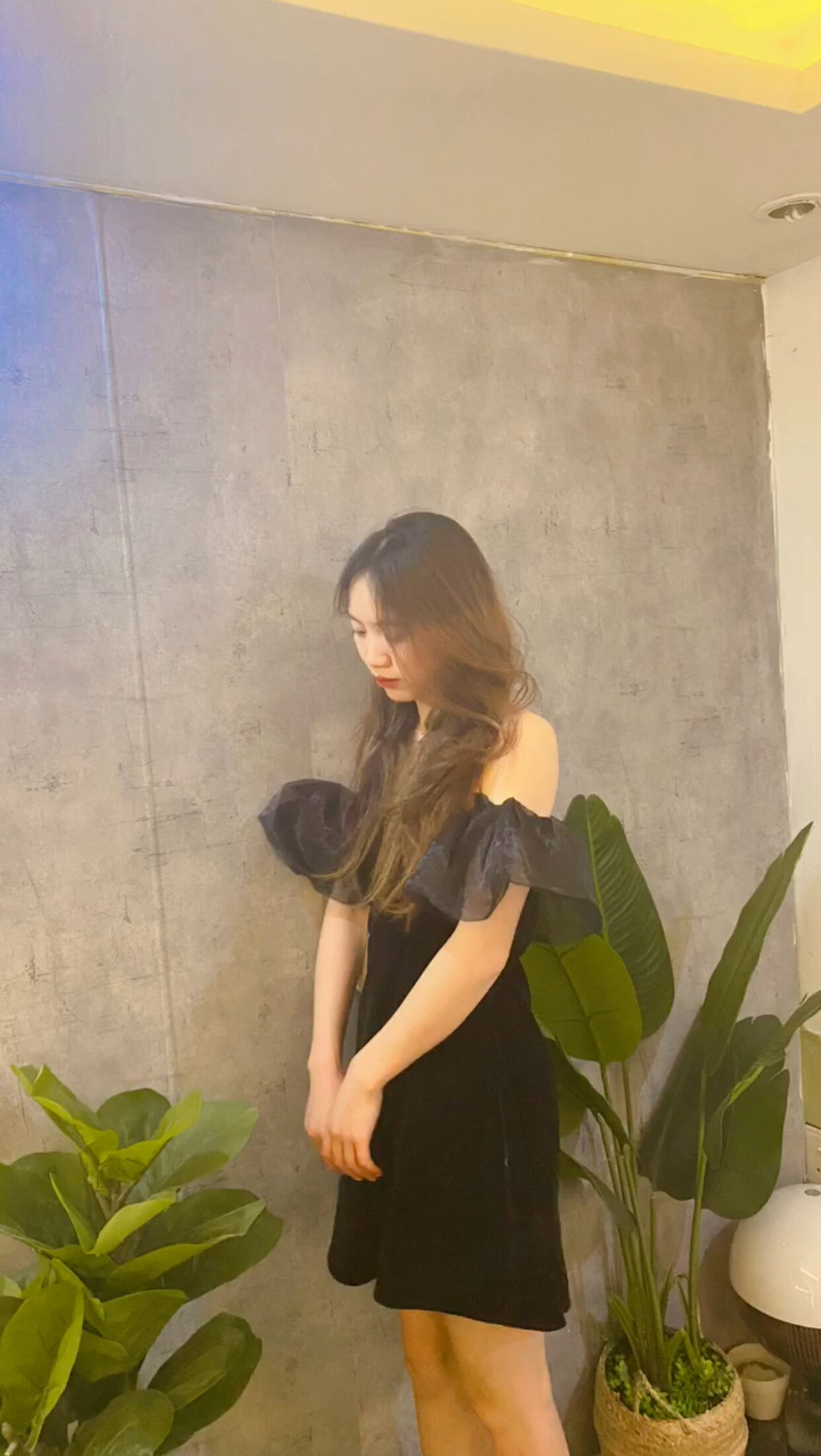 Ani_xx
