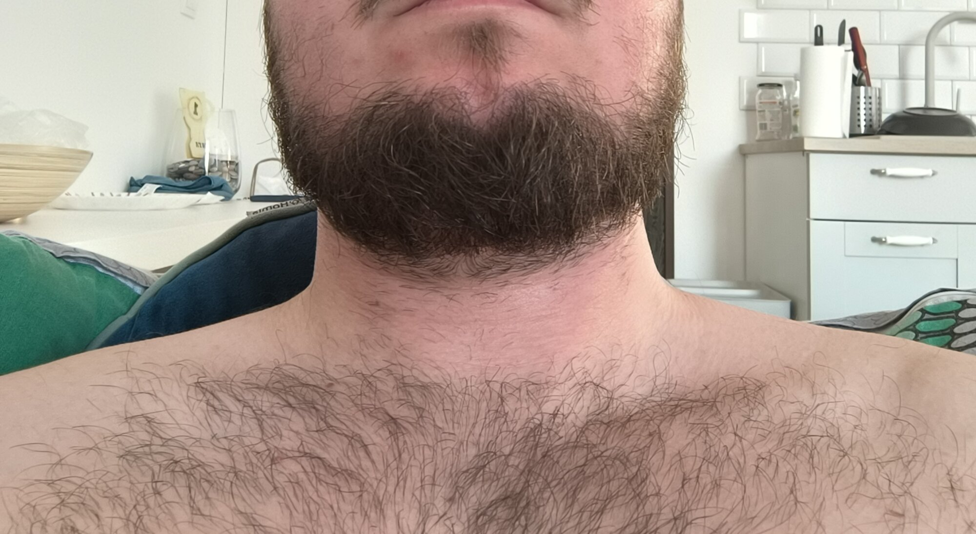 dan94x