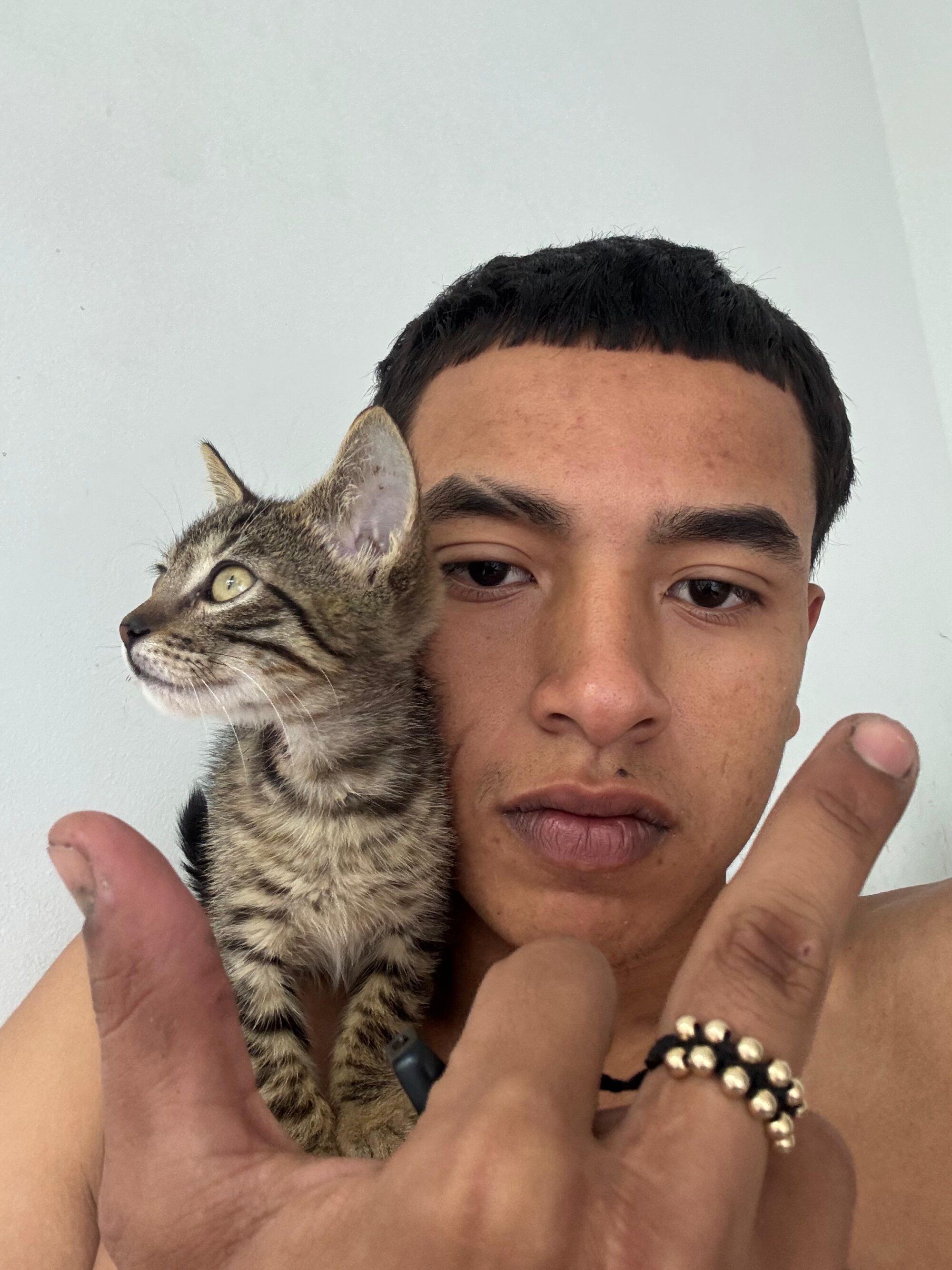 sixtinine19