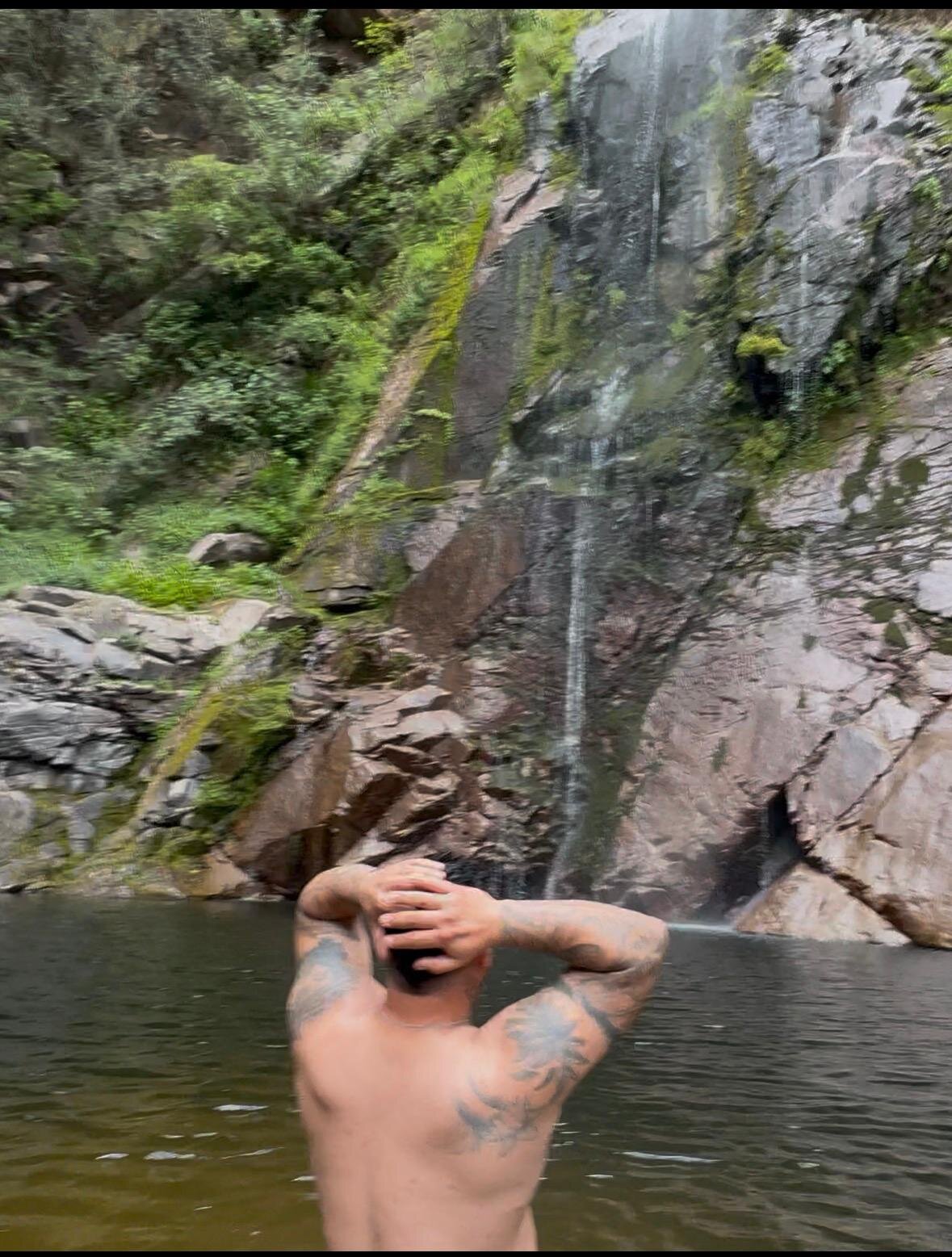 aleuboldi
