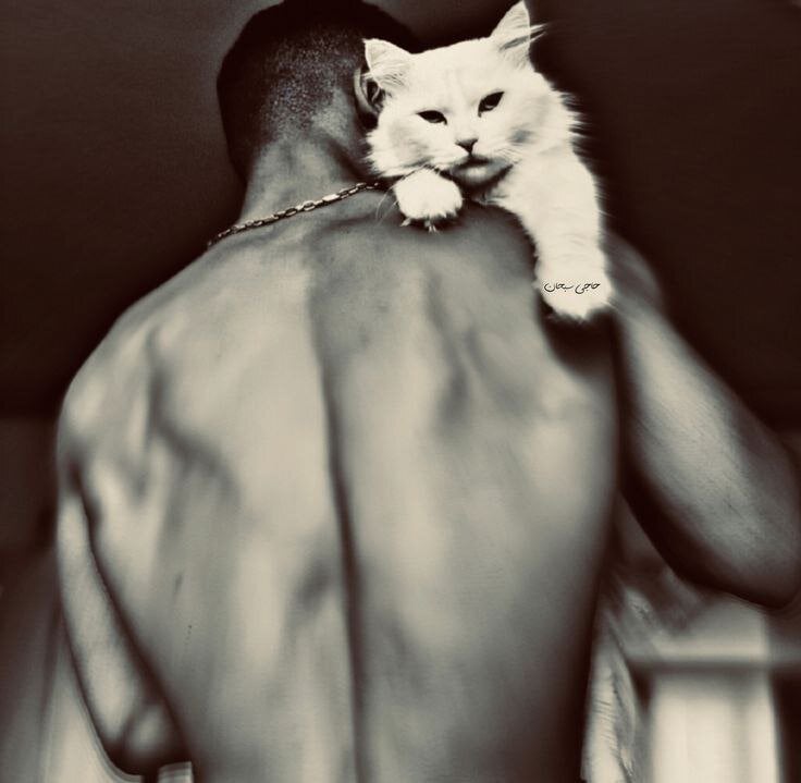 felix_dream_ profile