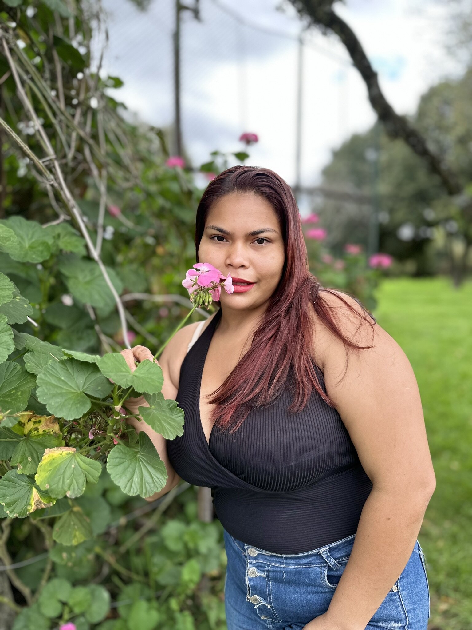 Lucero_velle