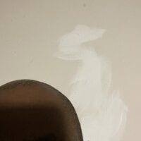 1leftbender's webcam live show