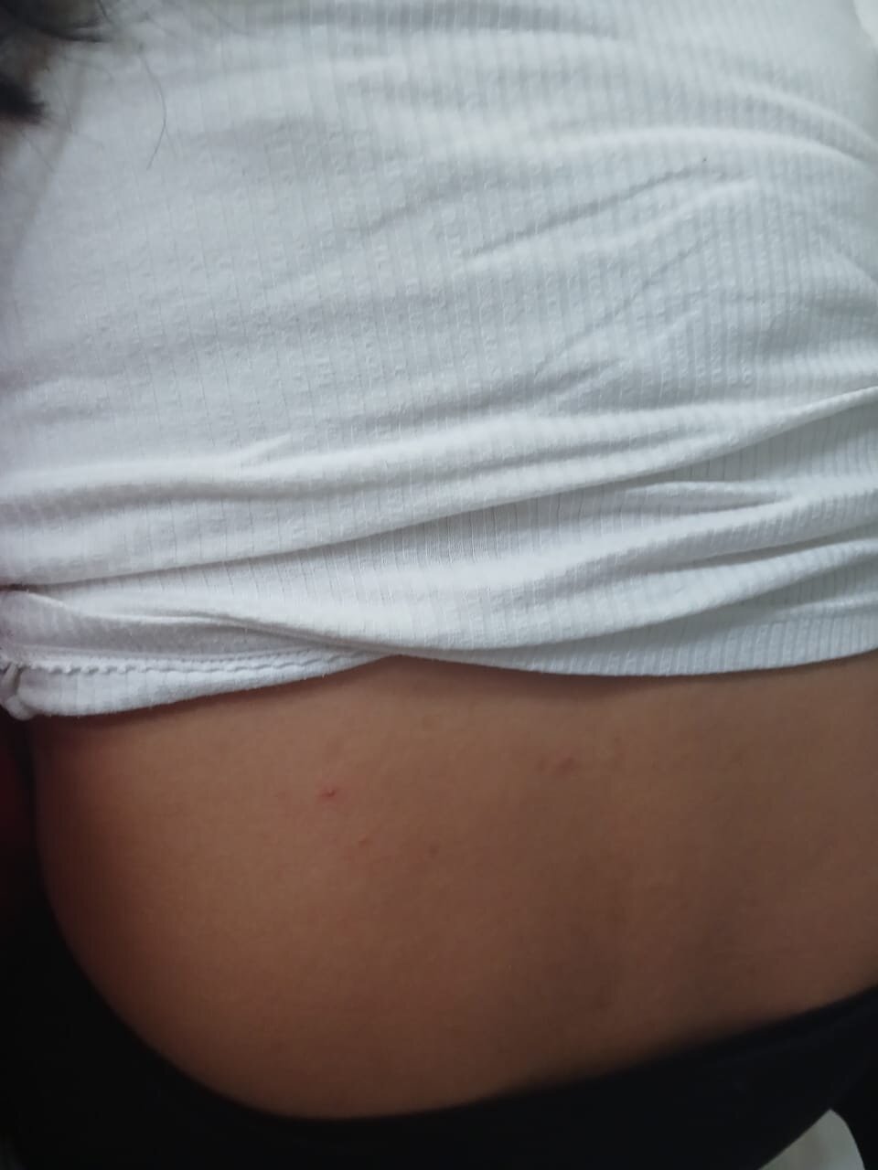 gordoyflaca