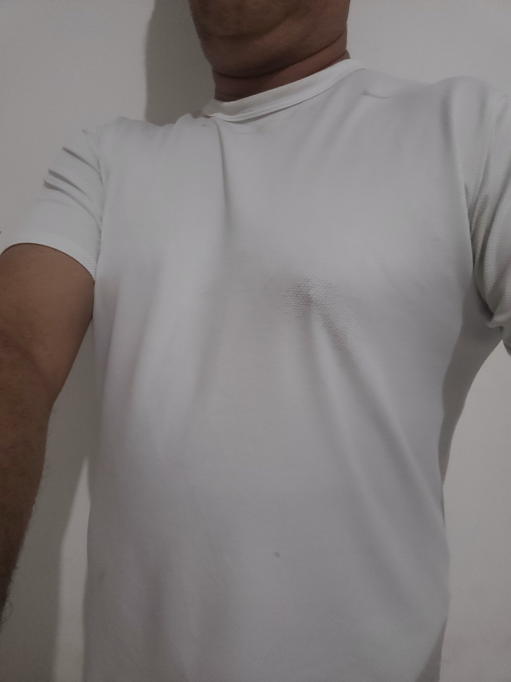 Angeloesbax