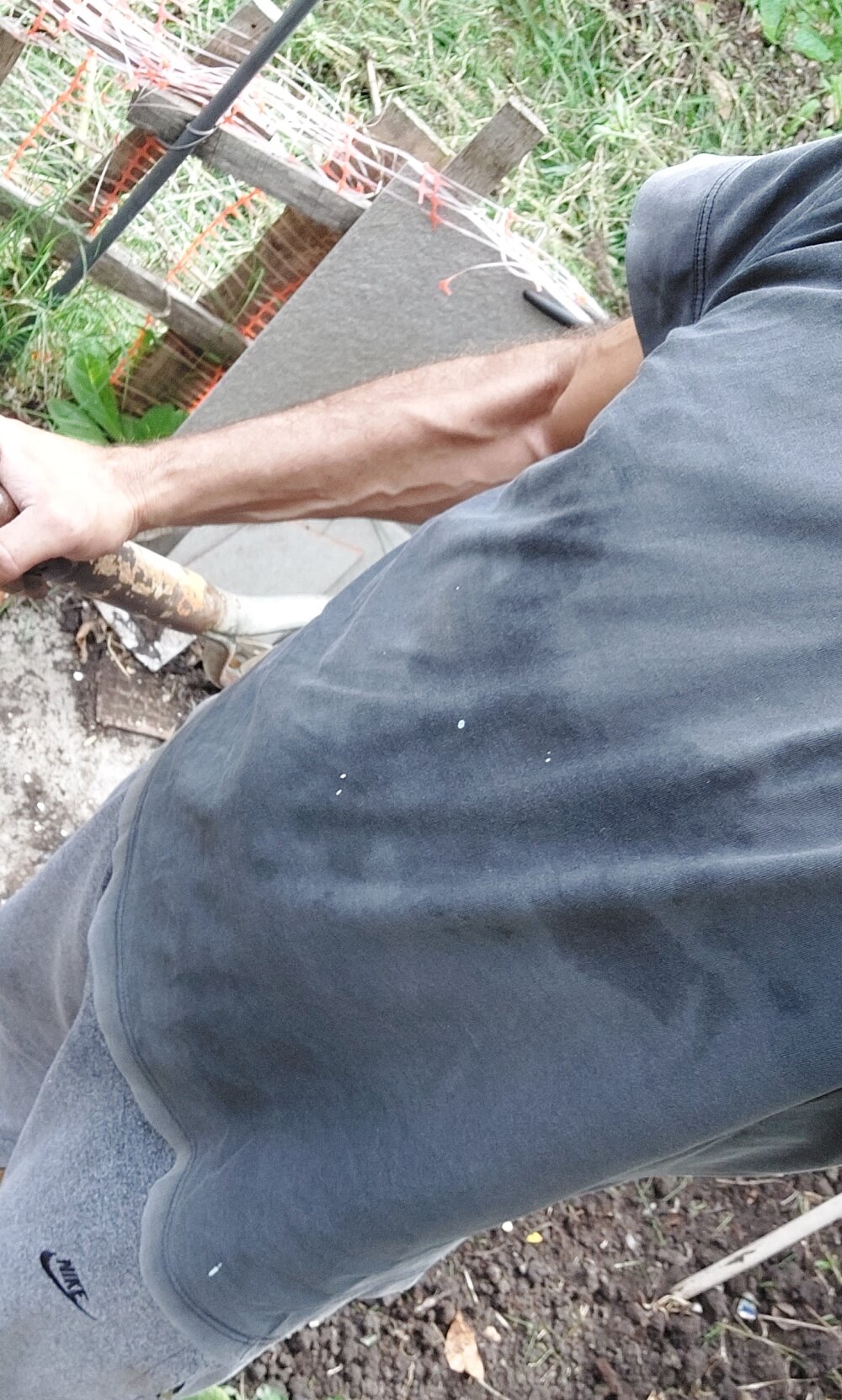 bisexstrap's most recent online preview