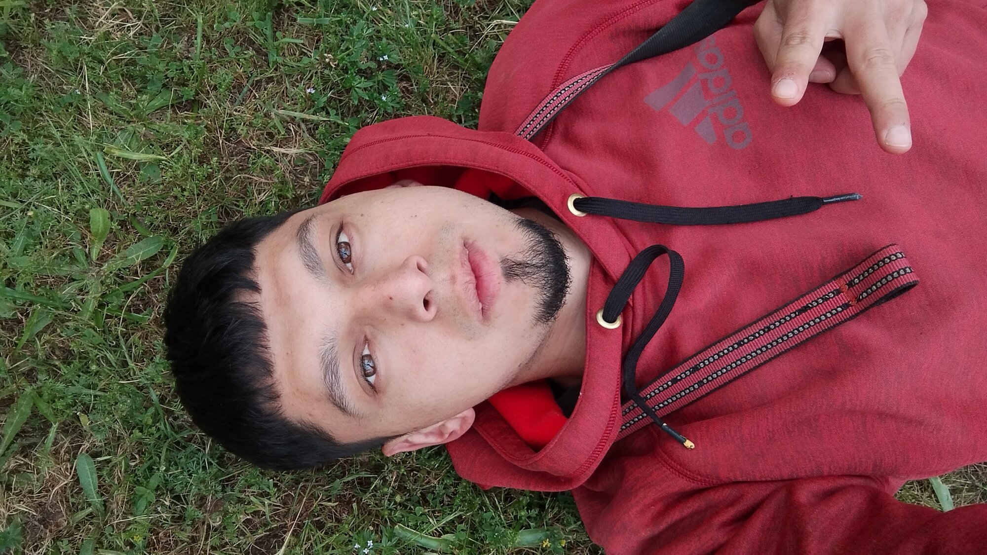 flakojavierhot
