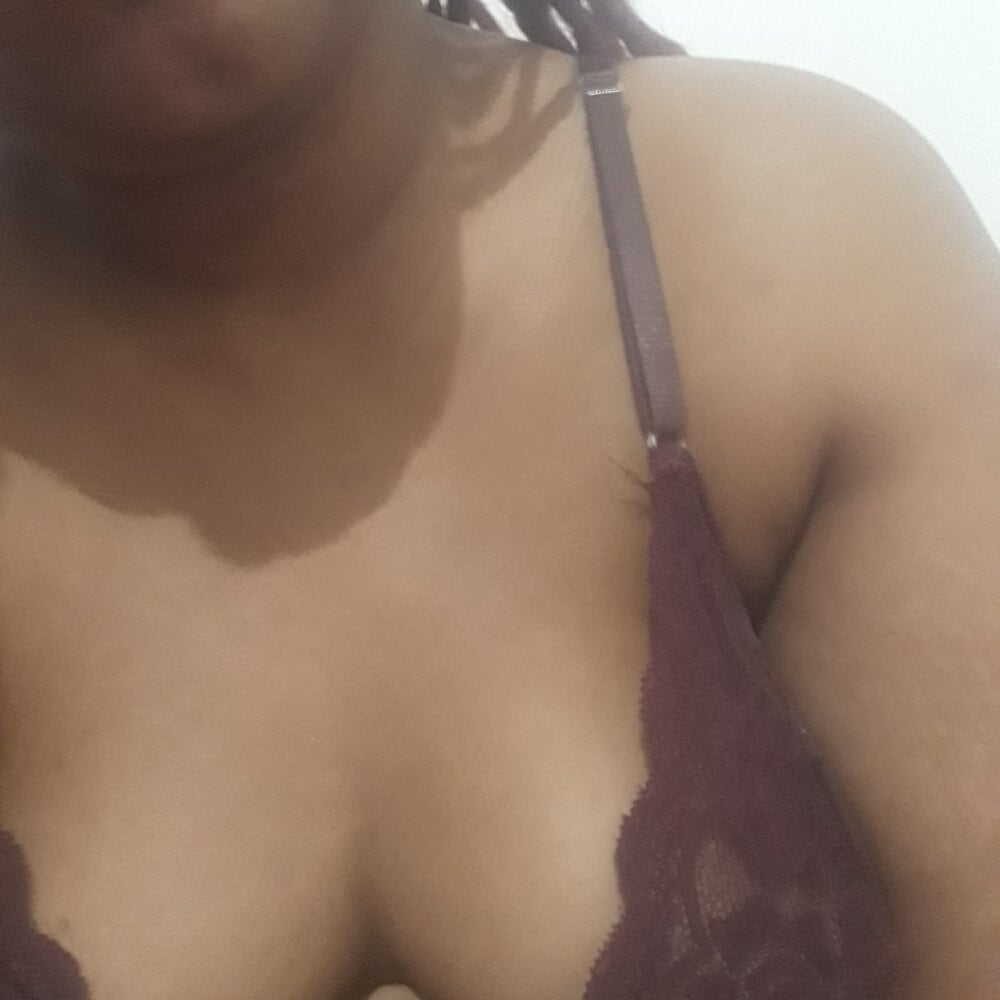 gatinha25cat