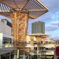 peliculiar's webcam live show