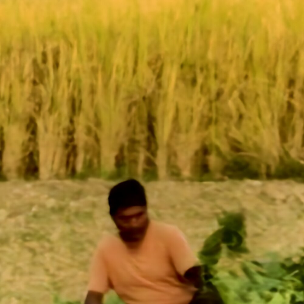 coco__boy's Offline XXX Chat