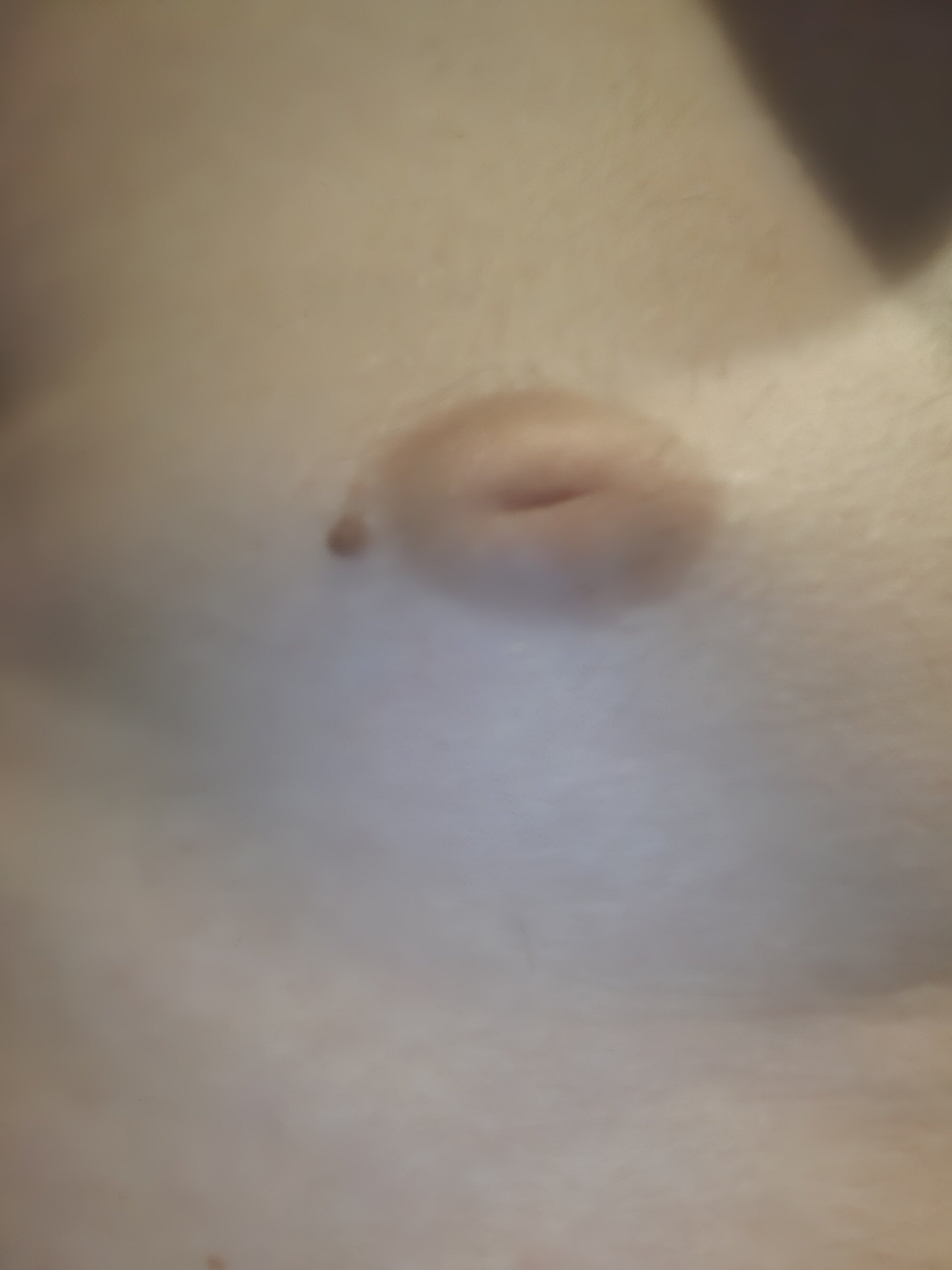 Johnny_john4