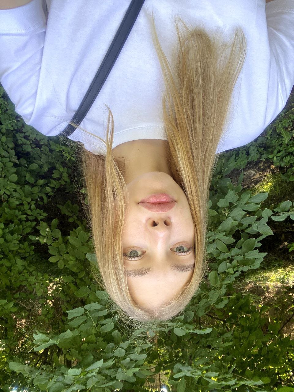 CassieDi