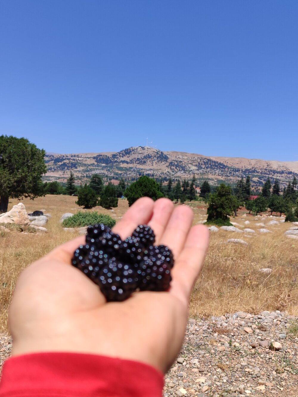 18cmyilmazta20 profile