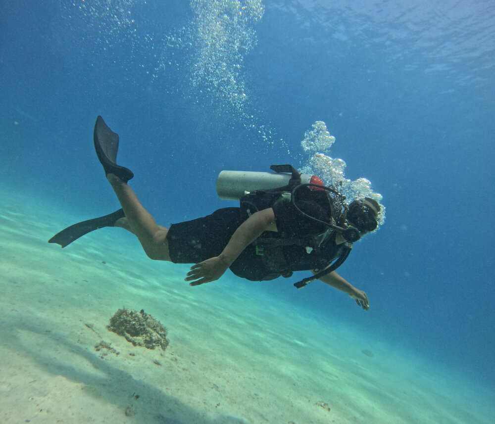 Davinchok's Offline XXX Chat