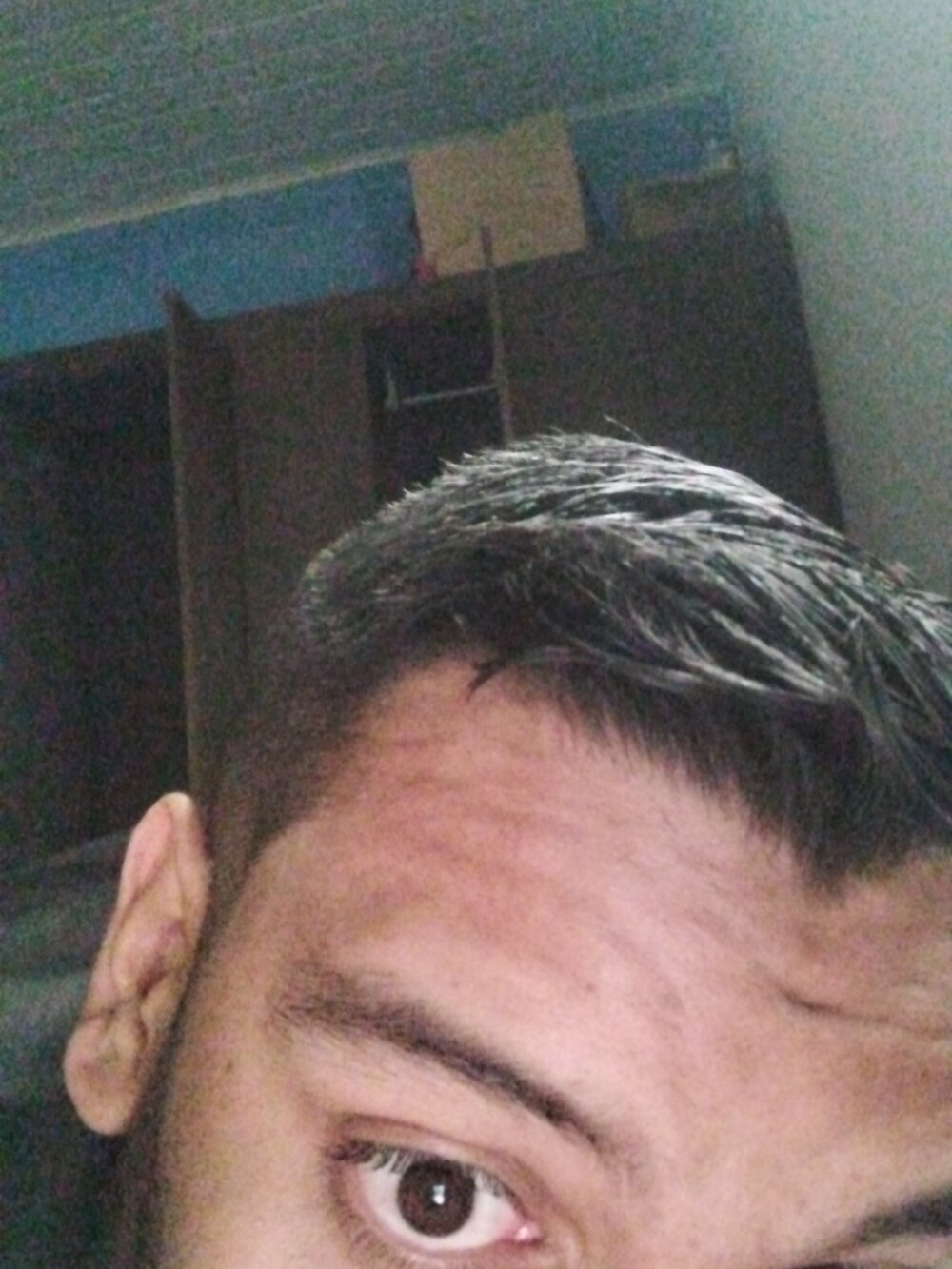 tonybarros profile