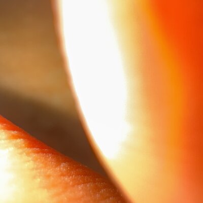 sexyfucker1237 profile