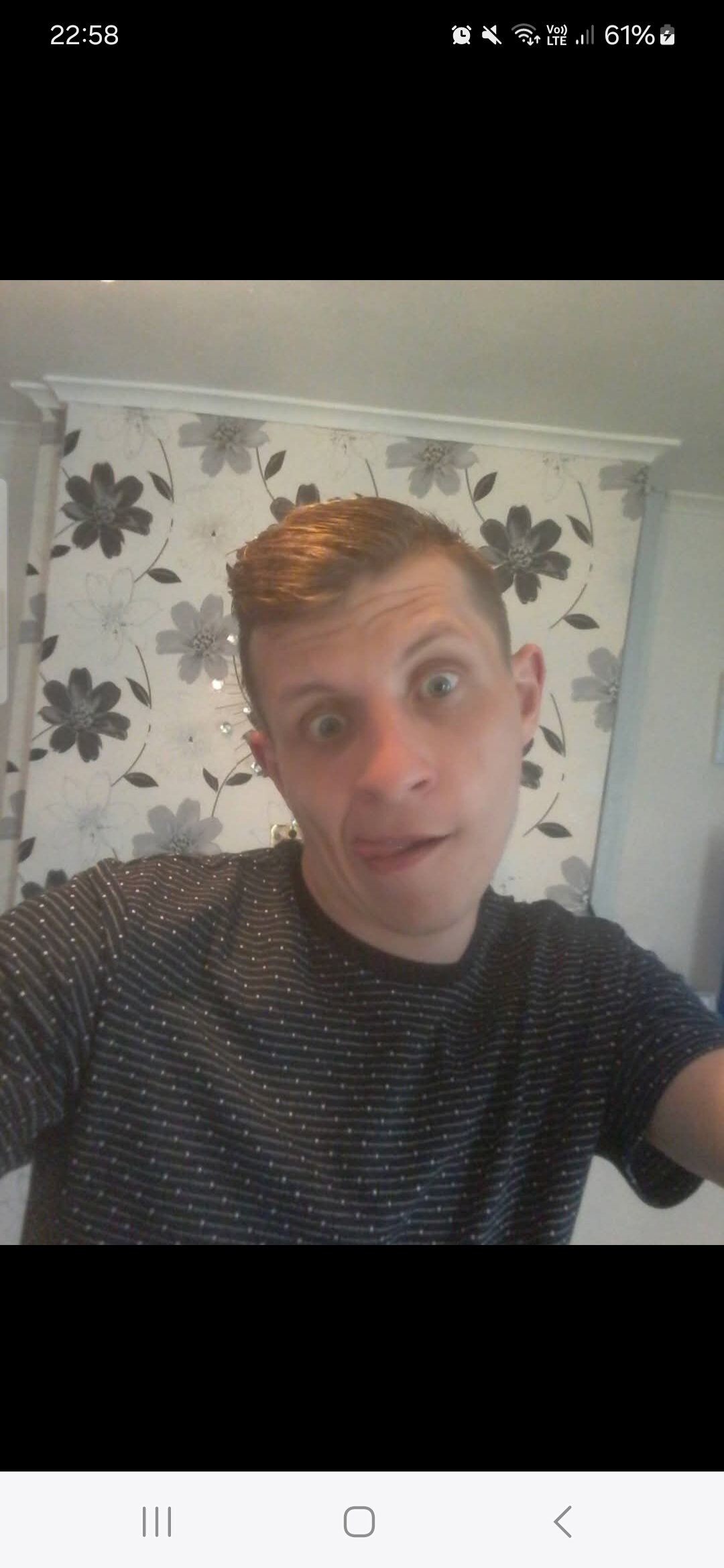 dingdongdz