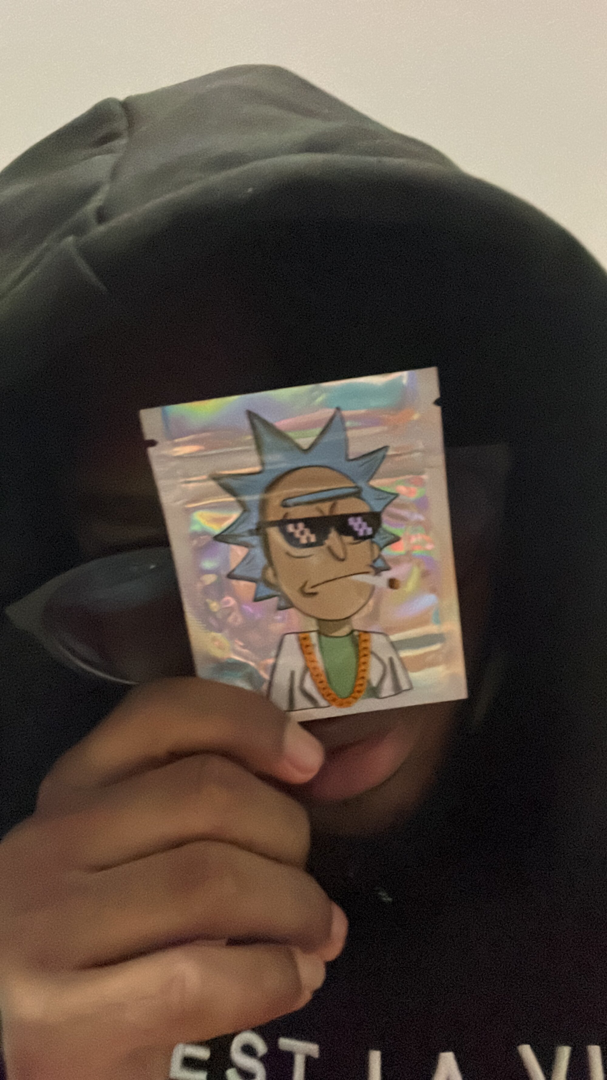 Husppappi06