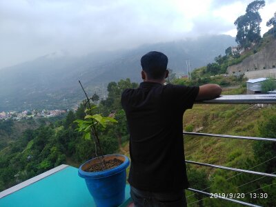 Any_32 Avatar