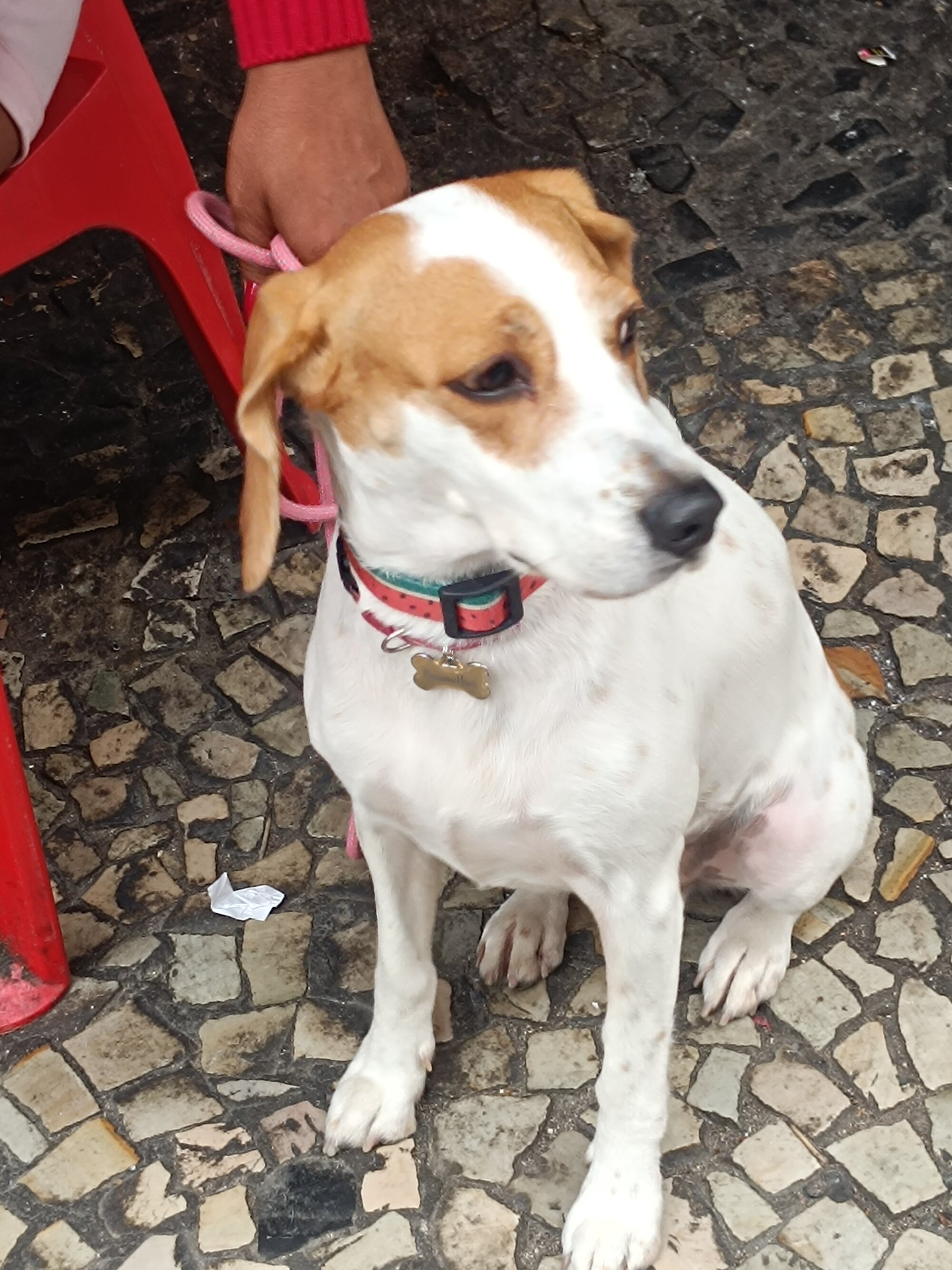 Nelsinho45