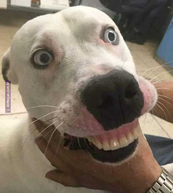 fala_tu