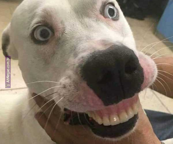fala_tu