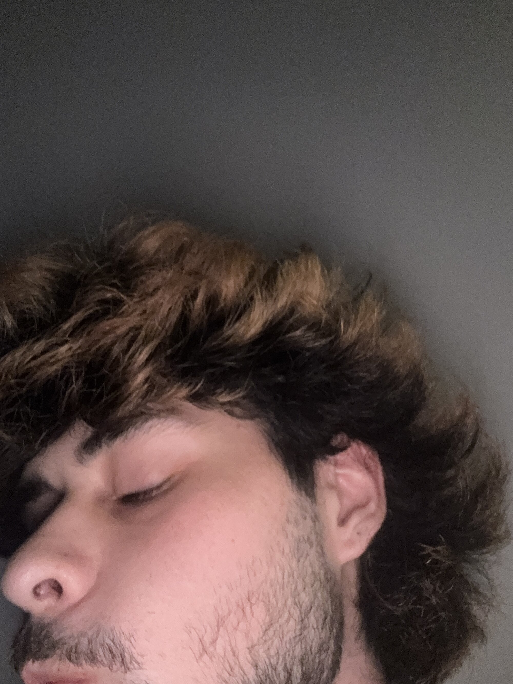 goosegoose420999