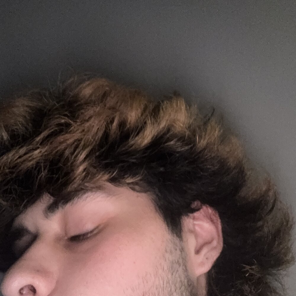 goosegoose420999 profile
