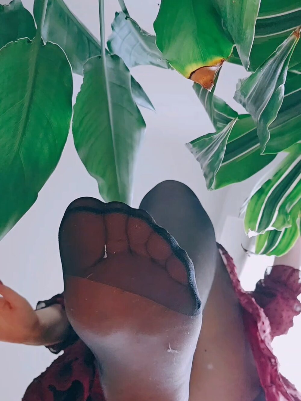 FeetArtist_Findom