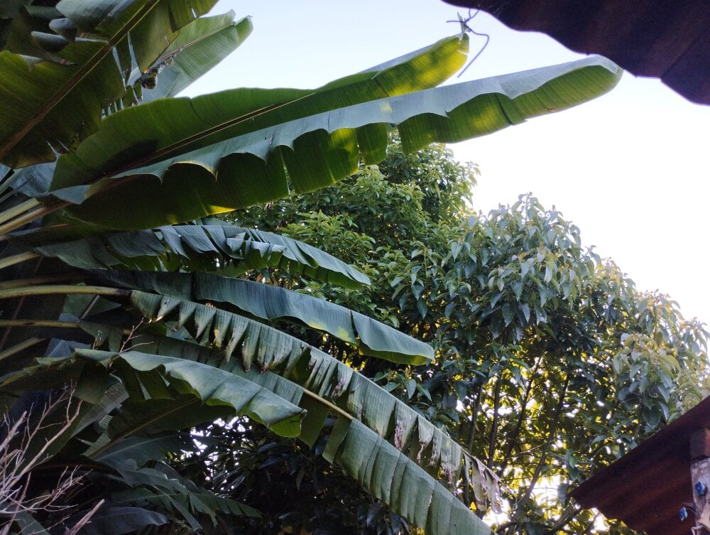 NazzB2 离线XXX聊天