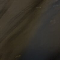 DeluxeMargin25's webcam live show