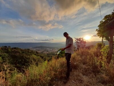 Melissa_and_Tony Avatar