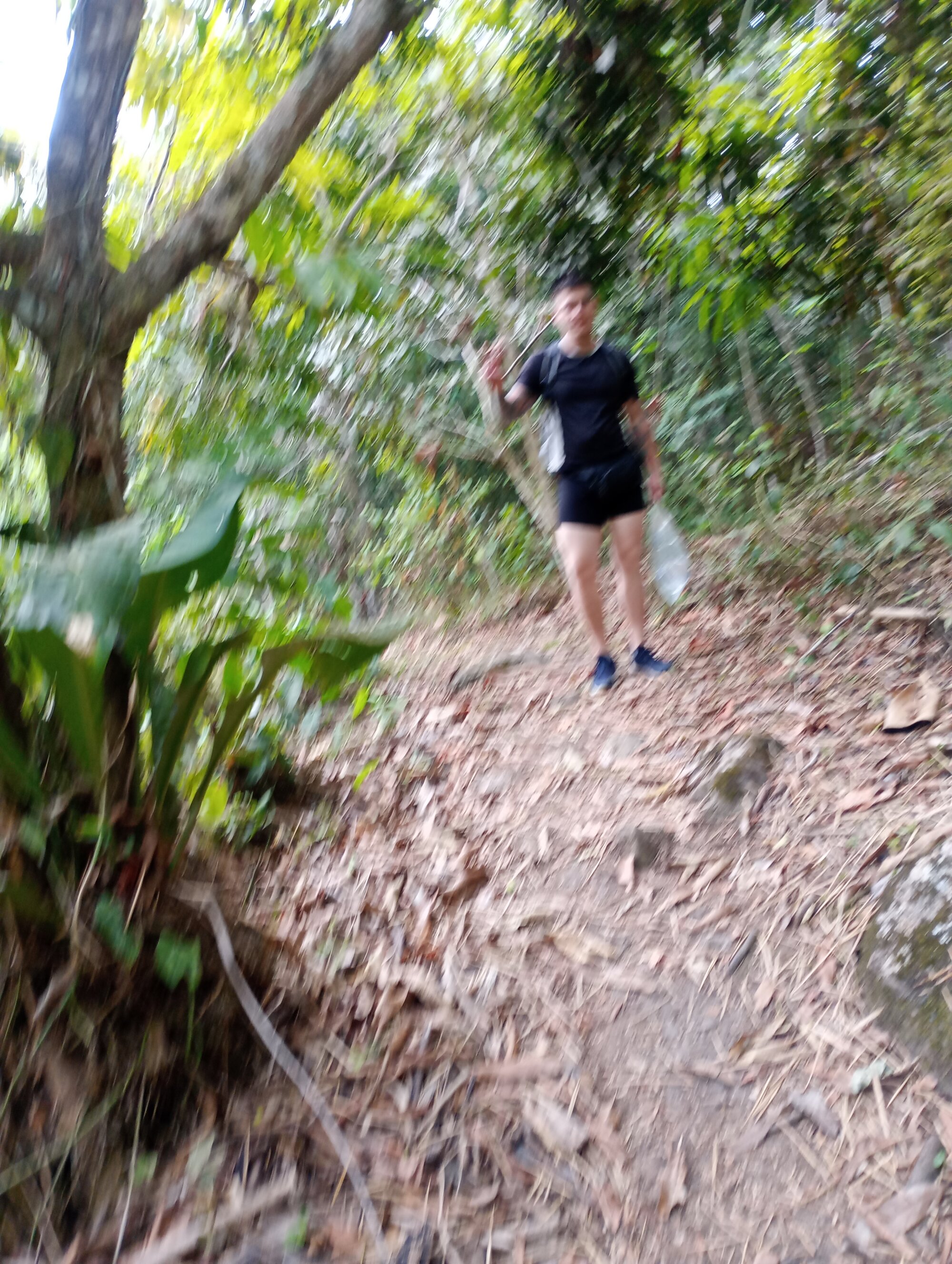 alienslian live webcam