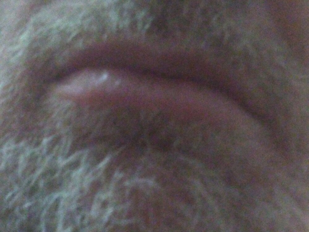 Loiroquermacho profile