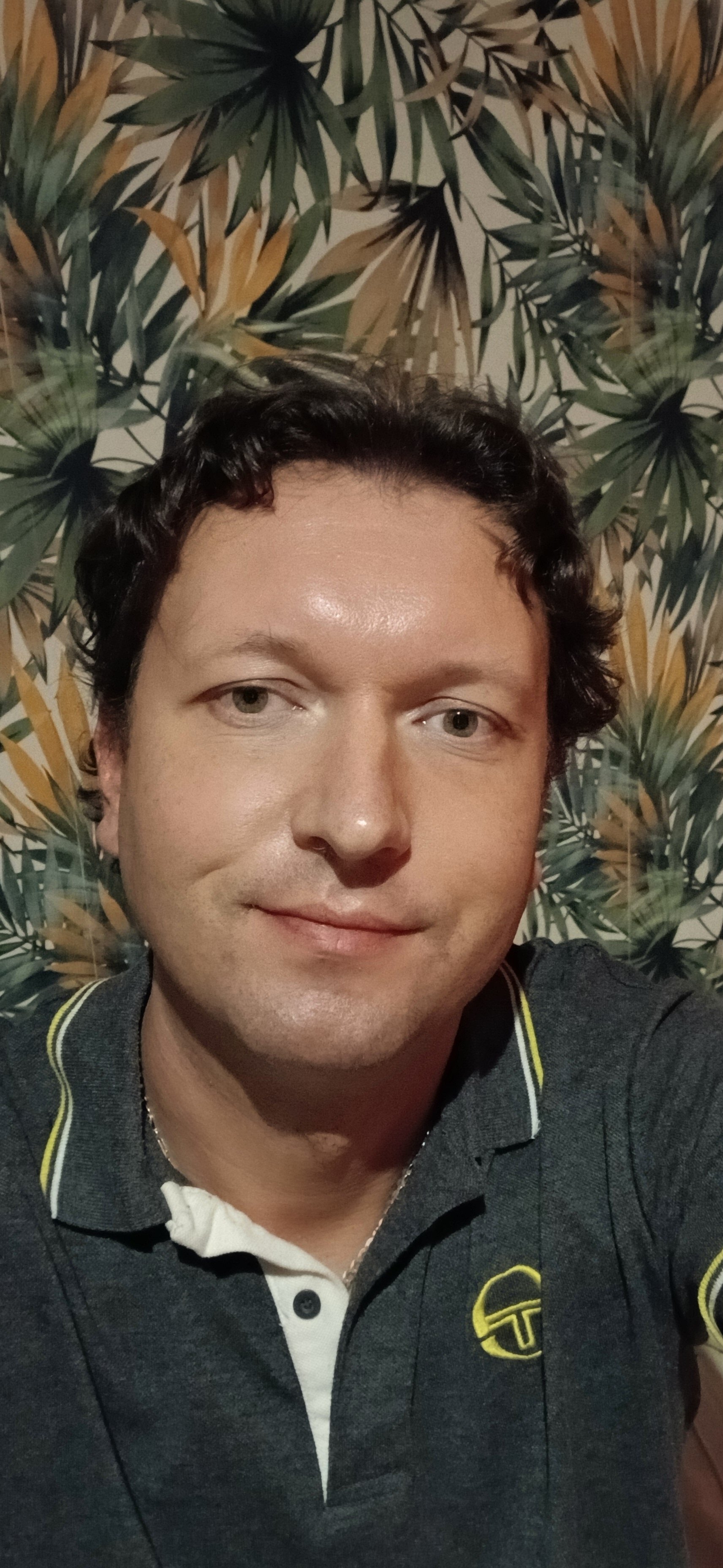 adamfortopguys