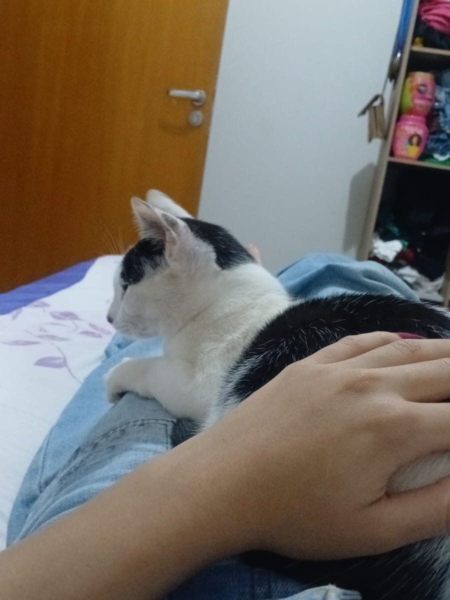 LeasedTinge's Offline XXX Chat