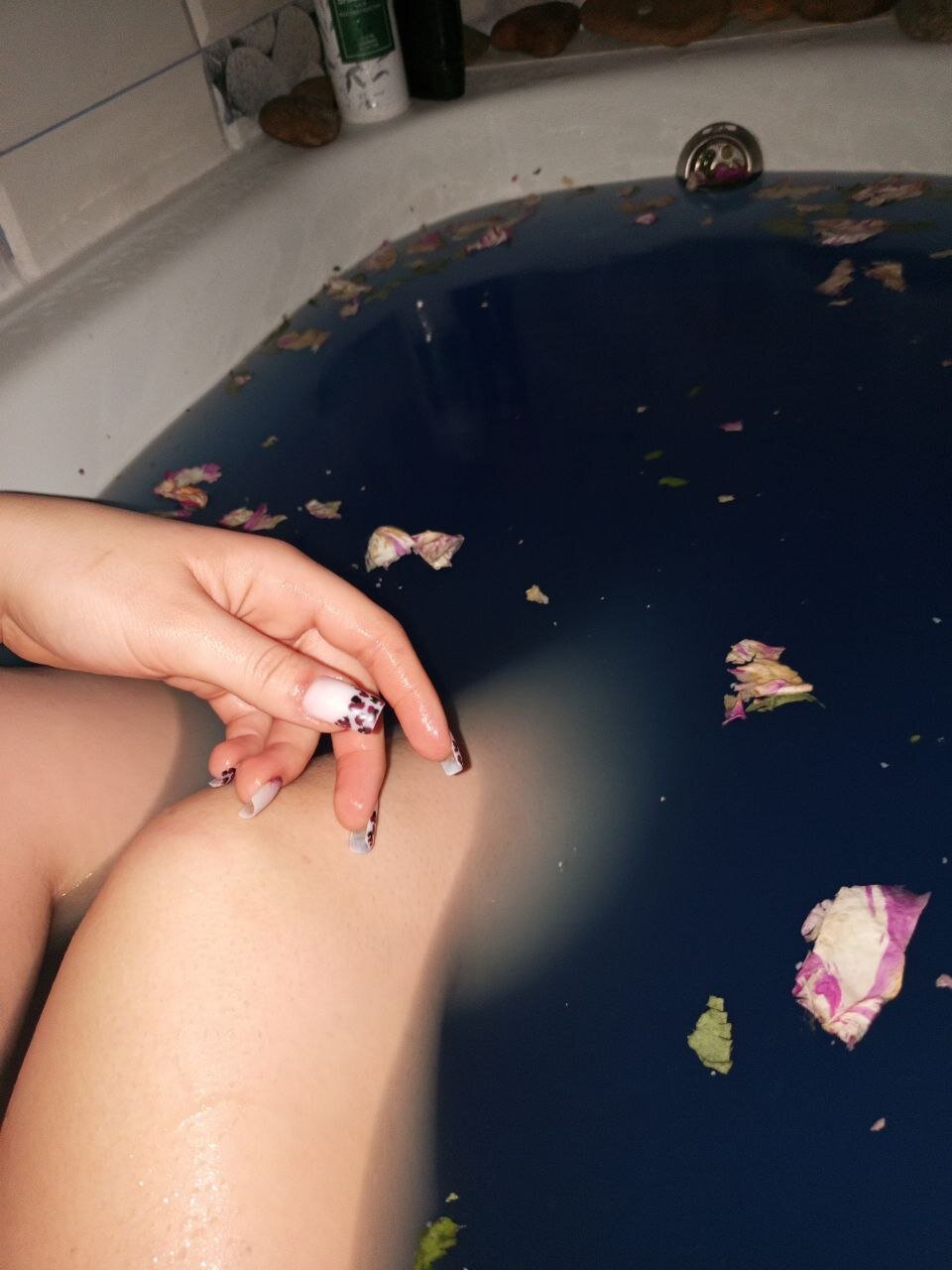 Diana_Carloss