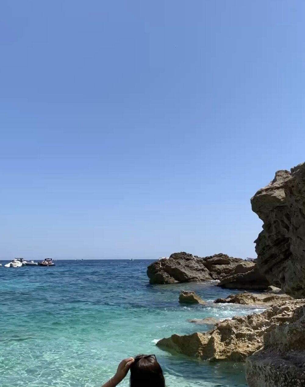 SharkBluee profile